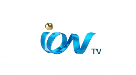 Untitled design (24)